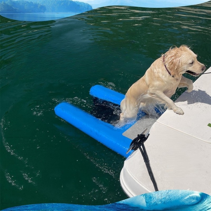 The dog boarded the boat from the dog boat ramp